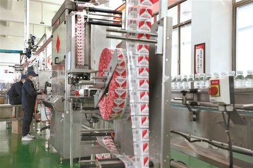 拉萨文明网技术咨询服务指南 技术支持、常见问题与优化建议