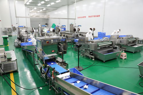 拜泉县 技术咨询赋能重点项目，全力开创建设新局面